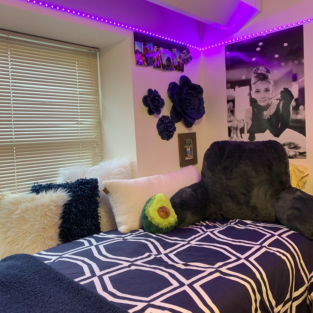 Kate spade & Ugg twin XL Bedding set - Picture 5 of 6